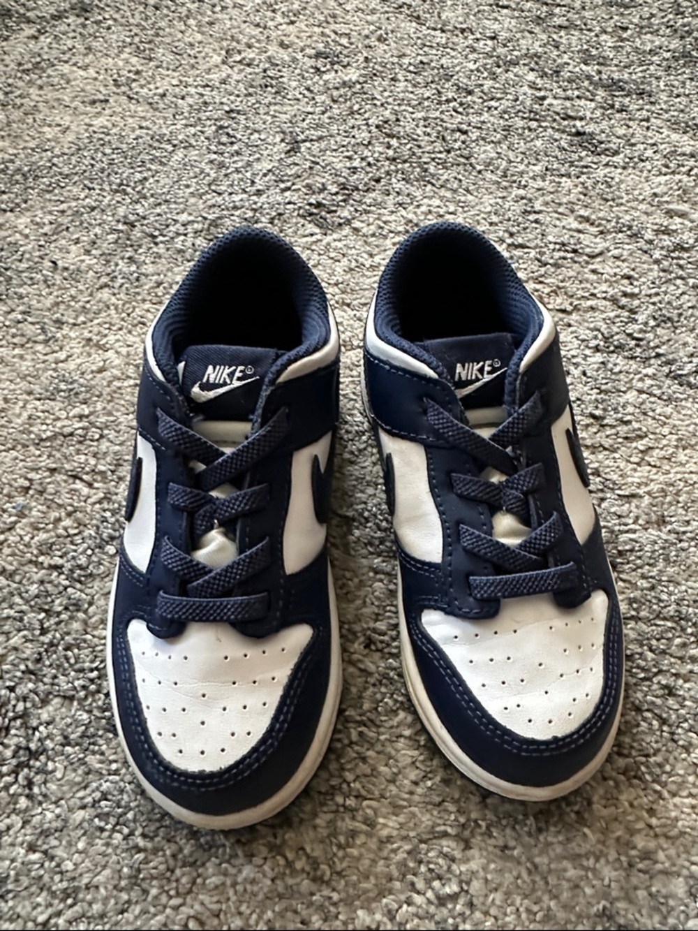 Nike Kids Dunk Navy and White Low-Top Sneakers with Lace-Up Closure